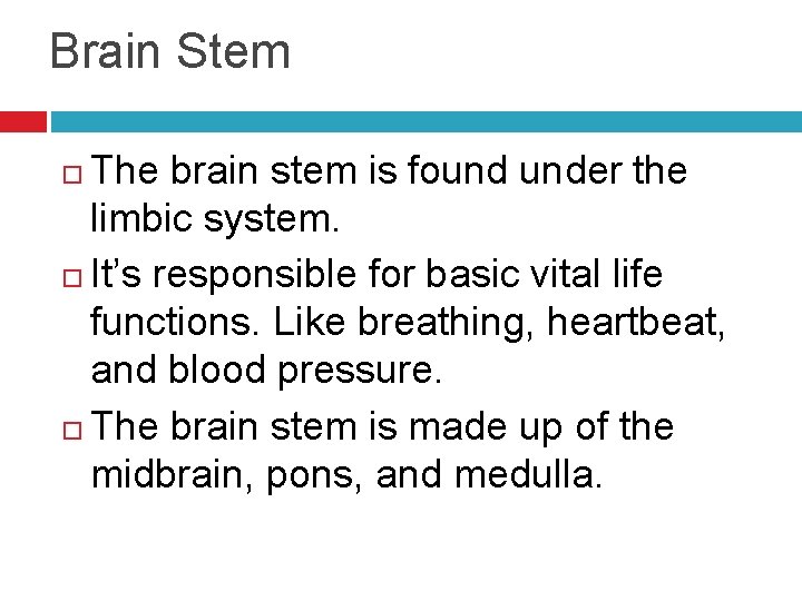 Brain Stem The brain stem is found under the limbic system. It’s responsible for