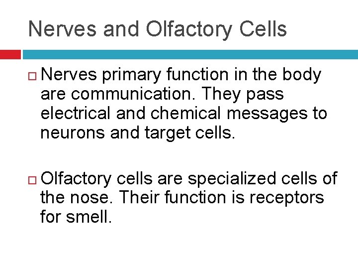 Nerves and Olfactory Cells Nerves primary function in the body are communication. They pass