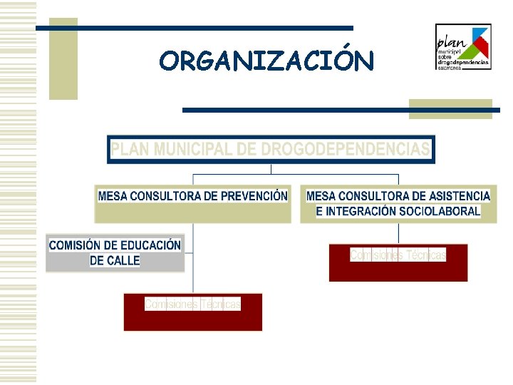 ORGANIZACIÓN 