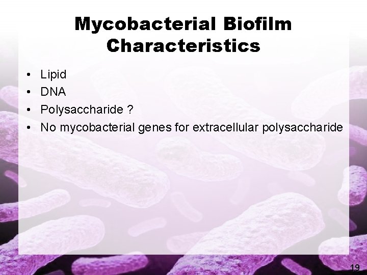 Mycobacterial Biofilm Characteristics • • Lipid DNA Polysaccharide ? No mycobacterial genes for extracellular