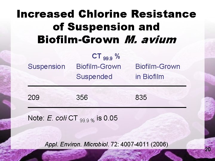Increased Chlorine Resistance of Suspension and Biofilm-Grown M. avium Suspension CT 99. 9 %