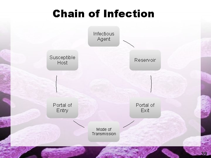 Chain of Infection Infectious Agent Susceptible Host Reservoir Portal of Entry Portal of Exit