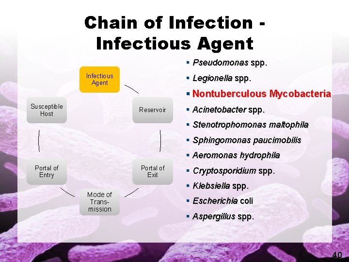 Chain of Infection Infectious Agent § Pseudomonas spp. Infectious Agent § Legionella spp. §