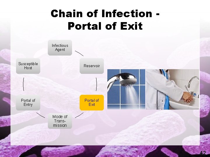Chain of Infection Portal of Exit Infectious Agent Susceptible Host Reservoir Portal of Entry
