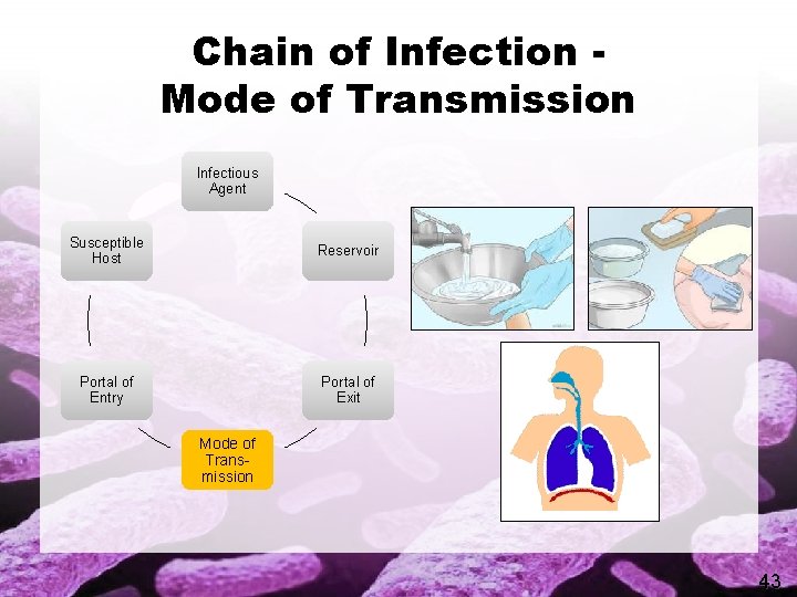 Chain of Infection Mode of Transmission Infectious Agent Susceptible Host Reservoir Portal of Entry