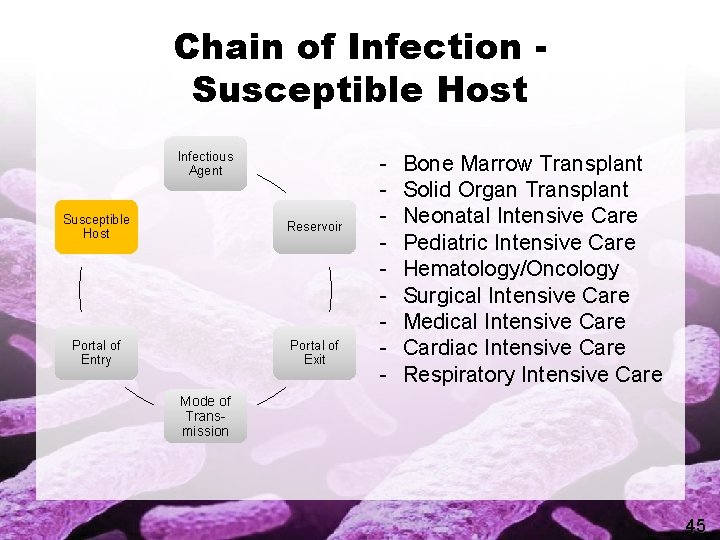Chain of Infection Susceptible Host Infectious Agent Susceptible Host Reservoir Portal of Entry Portal