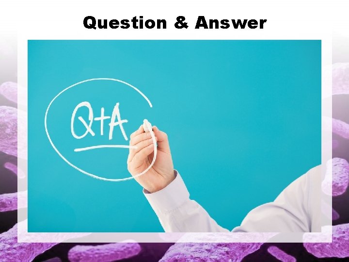 Question & Answer 