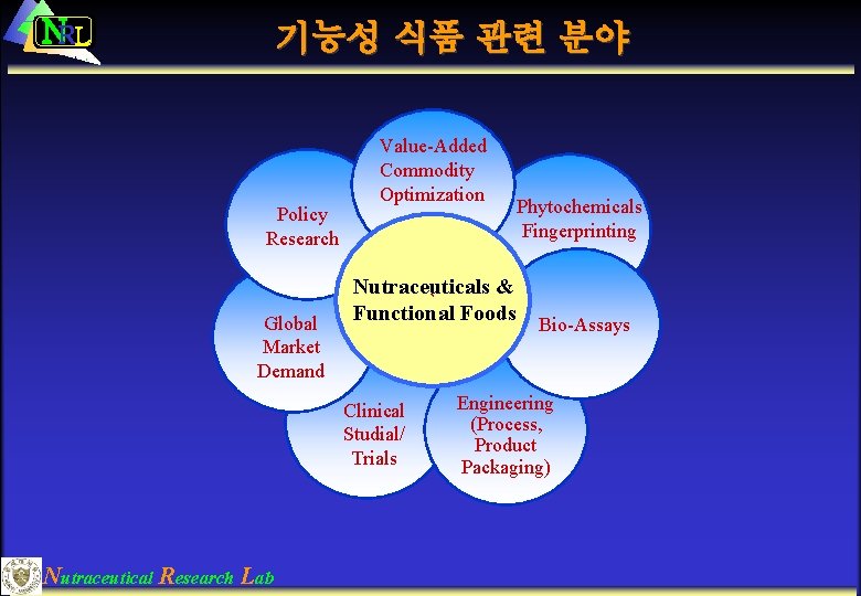 NRL 기능성 식품 관련 분야 Policy Research Global Market Demand Value-Added Commodity Optimization Nutraceuticals
