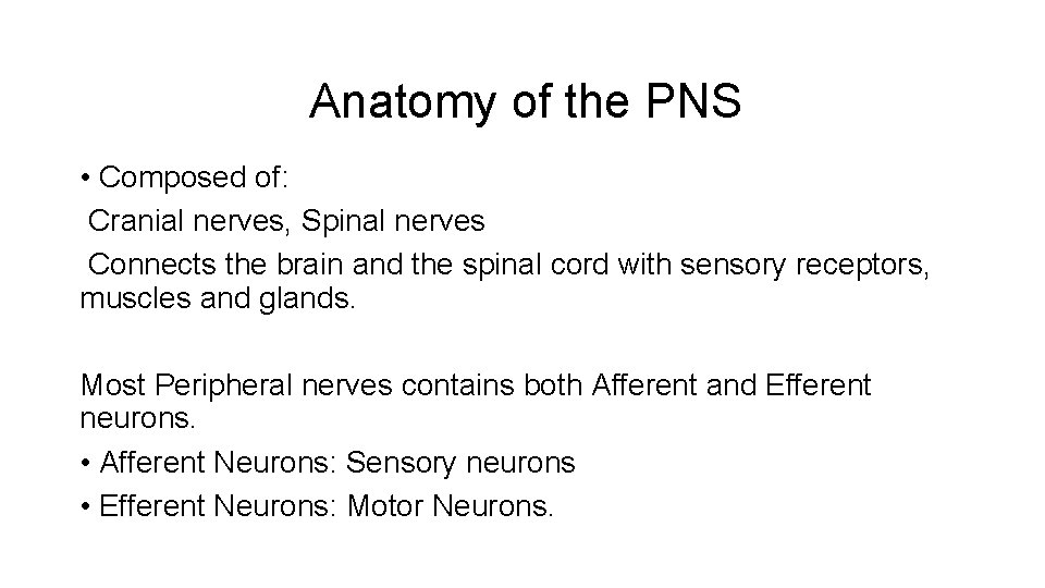 Anatomy of the PNS • Composed of: Cranial nerves, Spinal nerves Connects the brain