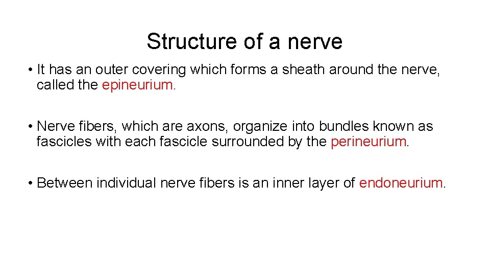 Structure of a nerve • It has an outer covering which forms a sheath
