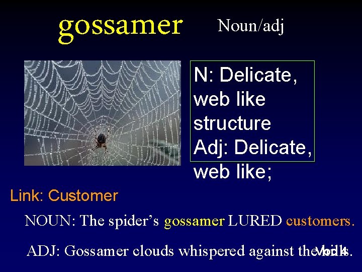 gossamer Noun/adj N: Delicate, web like structure Adj: Delicate, web like; Link: Customer NOUN: