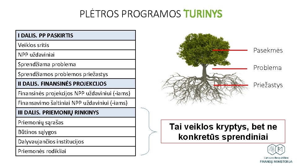 PLĖTROS PROGRAMOS TURINYS I DALIS. PP PASKIRTIS Veiklos sritis NPP uždaviniai Sprendžiama problema Sprendžiamos