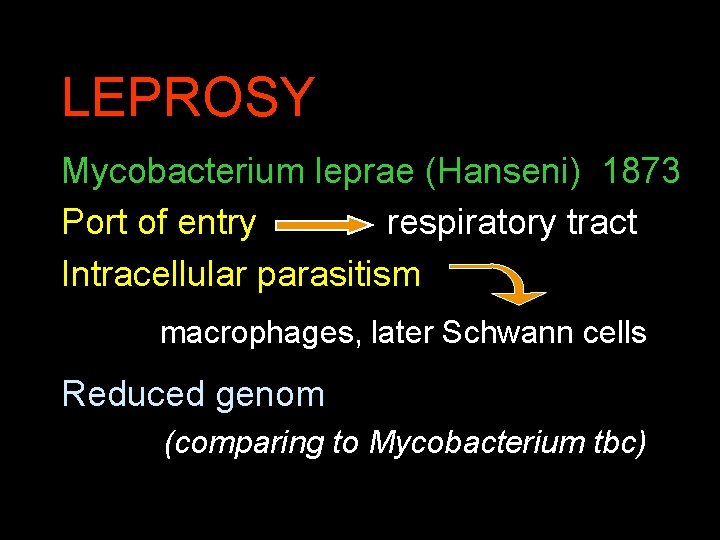LEPROSY Mycobacterium leprae (Hanseni) 1873 Port of entry respiratory tract Intracellular parasitism macrophages, later