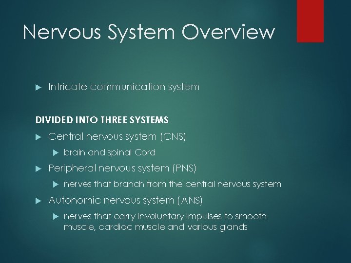 Nervous System Overview Intricate communication system DIVIDED INTO THREE SYSTEMS Central nervous system (CNS)