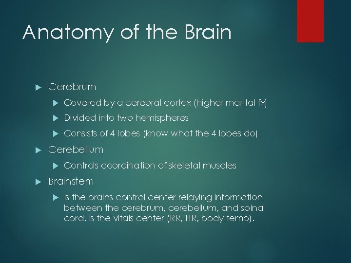 Anatomy of the Brain Cerebrum Covered by a cerebral cortex (higher mental fx) Divided