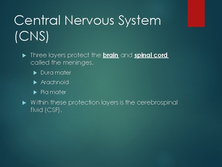 Central Nervous System (CNS) Three layers protect the brain and spinal cord called the