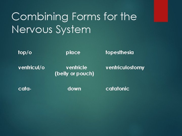 Combining Forms for the Nervous System top/o ventricul/o cata- place ventricle (belly or pouch)