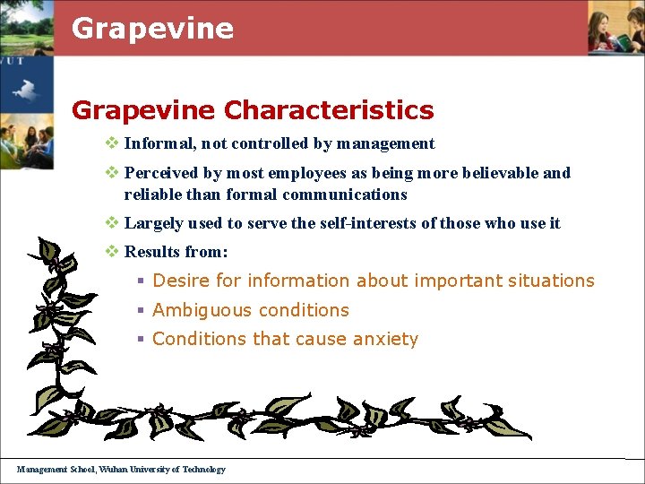 Grapevine Characteristics v Informal, not controlled by management v Perceived by most employees as