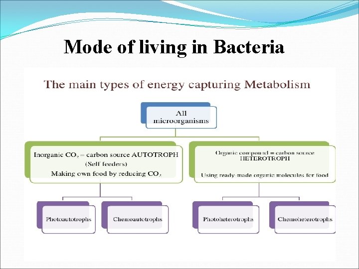 Mode of living in Bacteria 