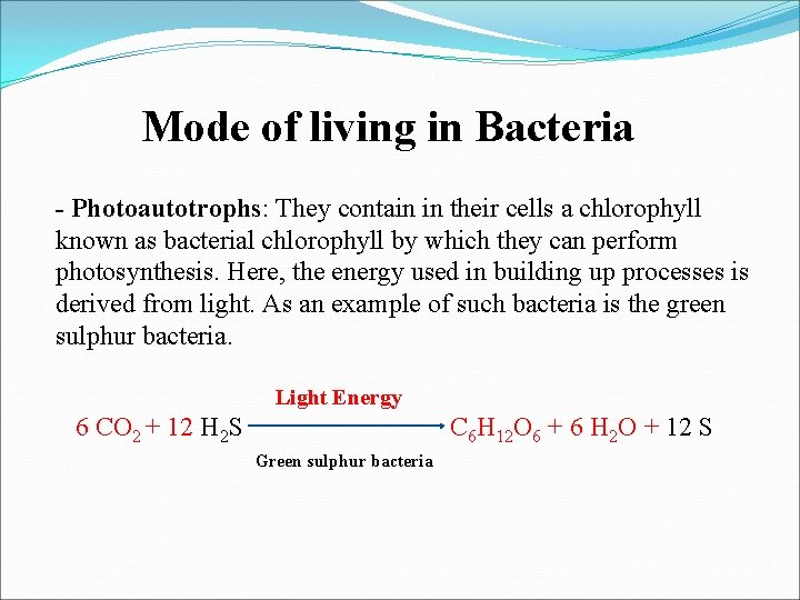Mode of living in Bacteria - Photoautotrophs: They contain in their cells a chlorophyll Mode of living in Bacteria - Photoautotrophs: They contain in their cells a chlorophyll
