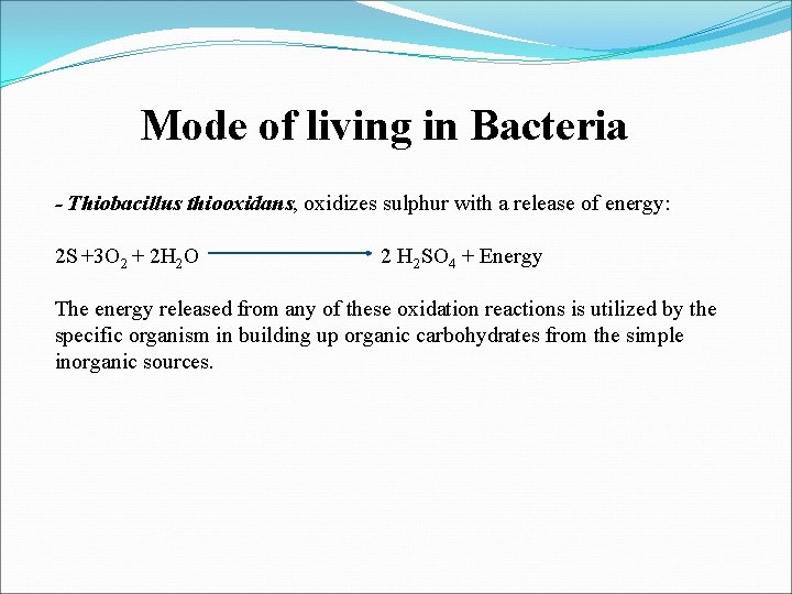 Mode of living in Bacteria - Thiobacillus thiooxidans, oxidizes sulphur with a release of Mode of living in Bacteria - Thiobacillus thiooxidans, oxidizes sulphur with a release of