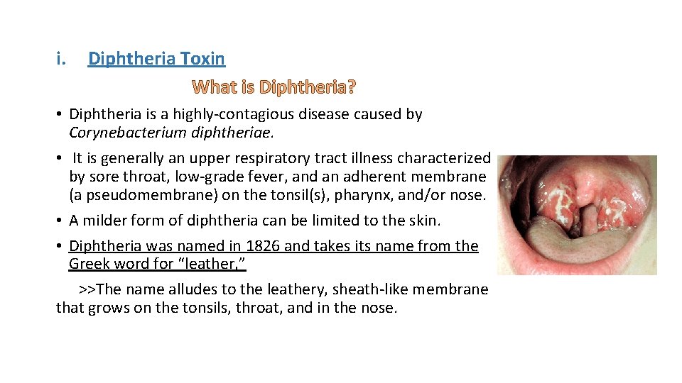 i. Diphtheria Toxin What is Diphtheria? • Diphtheria is a highly-contagious disease caused by