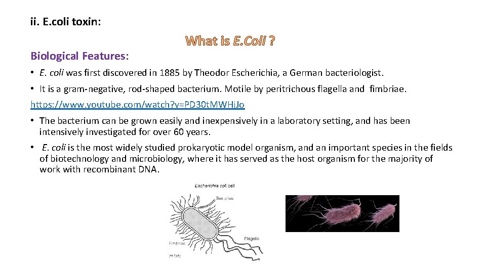 ii. E. coli toxin: Biological Features: What is E. Coli ? • E. coli