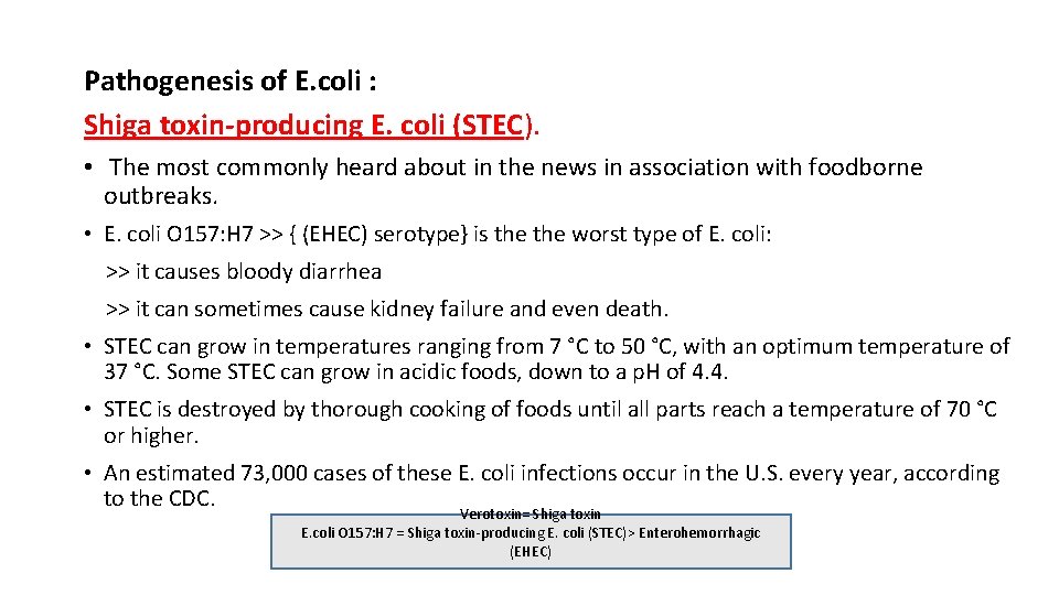 Pathogenesis of E. coli : Shiga toxin-producing E. coli (STEC). • The most commonly