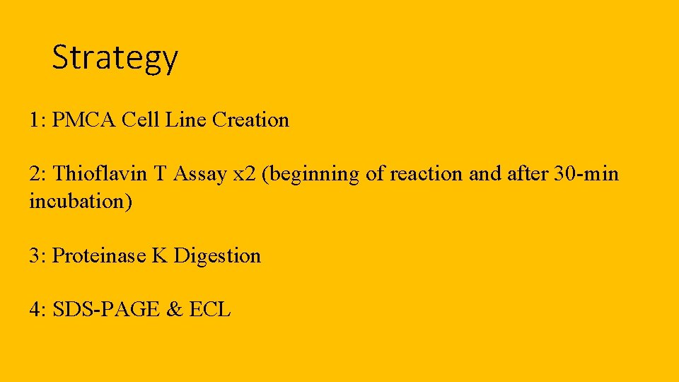 Strategy 1: PMCA Cell Line Creation 2: Thioflavin T Assay x 2 (beginning of