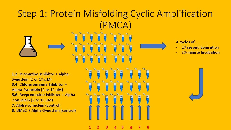 Step 1: Protein Misfolding Cyclic Amplification (PMCA) 4 cycles of: - 20 second Sonication