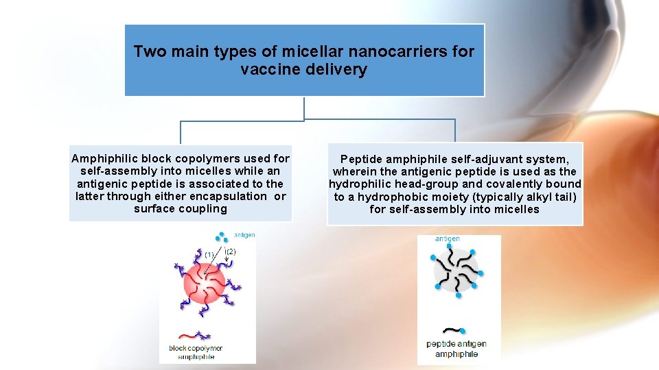 Two main types of micellar nanocarriers for vaccine delivery Amphiphilic block copolymers used for