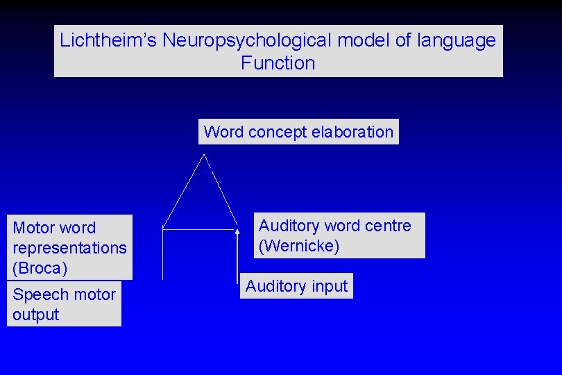Lichtheim’s Neuropsychological model of language Function Word concept elaboration 3 Motor word representations (Broca)