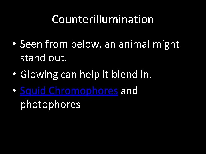 Counterillumination • Seen from below, an animal might stand out. • Glowing can help