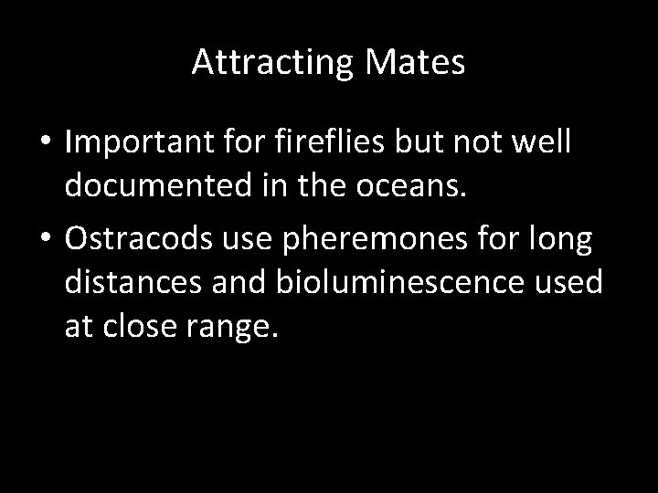 Attracting Mates • Important for fireflies but not well documented in the oceans. •