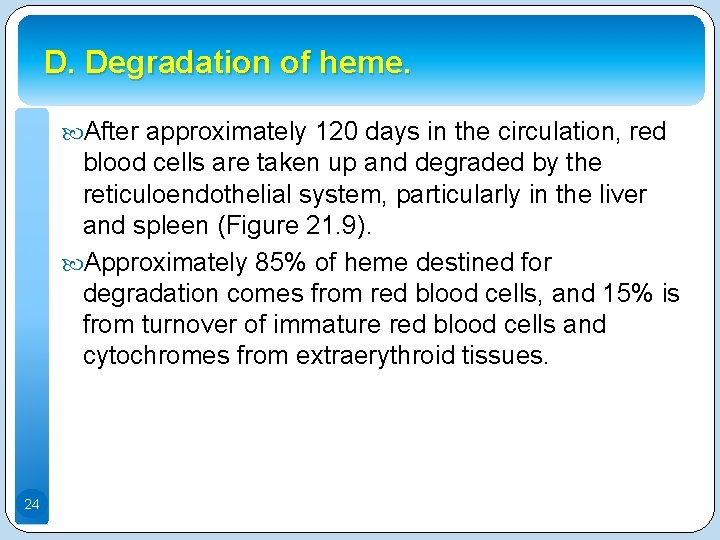 D. Degradation of heme. After approximately 120 days in the circulation, red blood cells