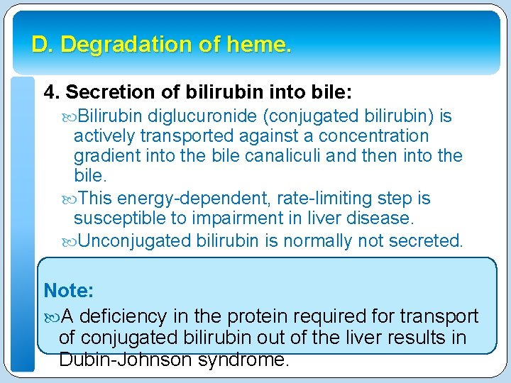 D. Degradation of heme. 4. Secretion of bilirubin into bile: Bilirubin diglucuronide (conjugated bilirubin)
