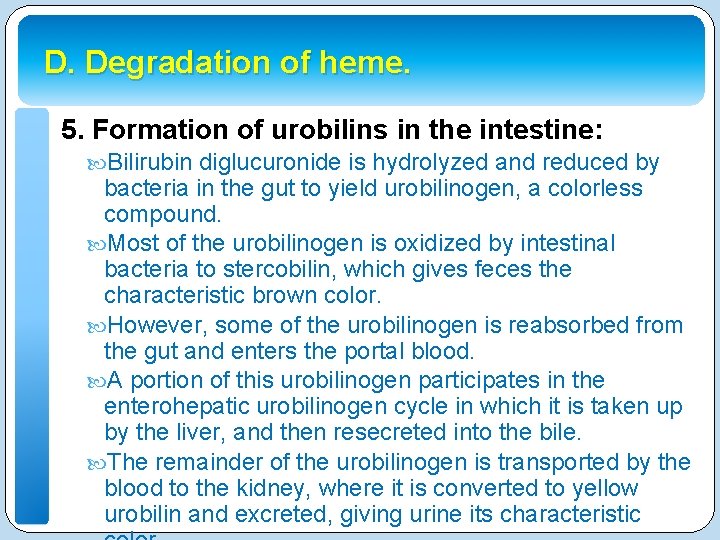 D. Degradation of heme. 5. Formation of urobilins in the intestine: Bilirubin diglucuronide is