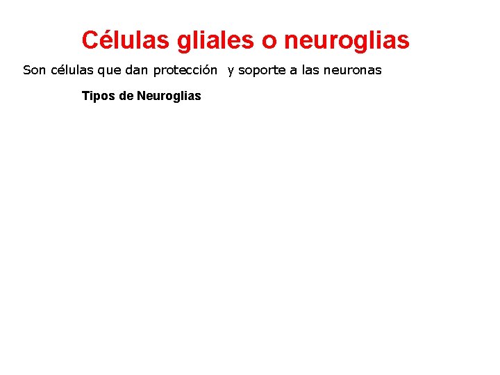 Células gliales o neuroglias Son células que dan protección y soporte a las neuronas