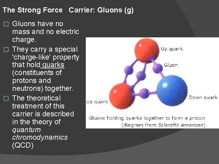 The Strong Force Carrier: Gluons (g) Gluons have no mass and no electric charge.
