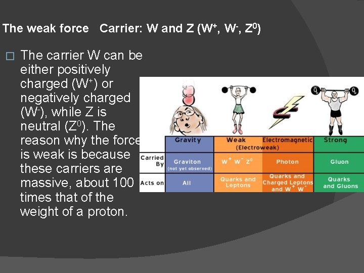 The weak force Carrier: W and Z (W+, W-, Z 0) � The carrier