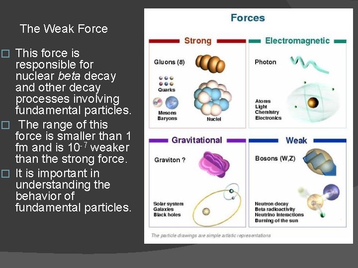 The Weak Force This force is responsible for nuclear beta decay and other decay