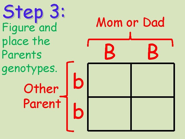 Step 3: Figure and place the Parents genotypes. Other Parent Mom or Dad B