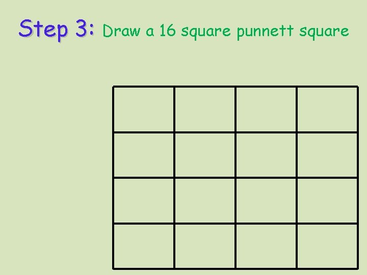 Step 3: Draw a 16 square punnett square 