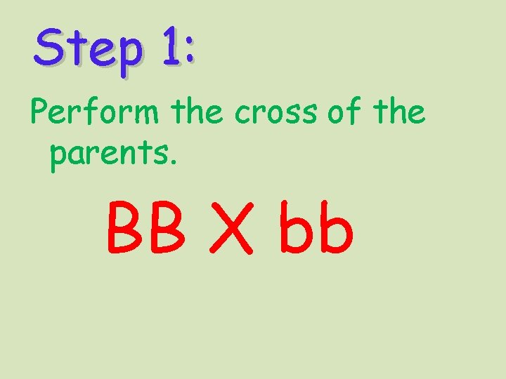 Step 1: Perform the cross of the parents. BB X bb 