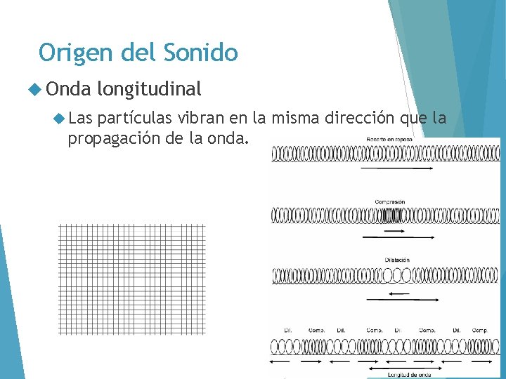 Origen del Sonido Onda Las longitudinal partículas vibran en la misma dirección que la