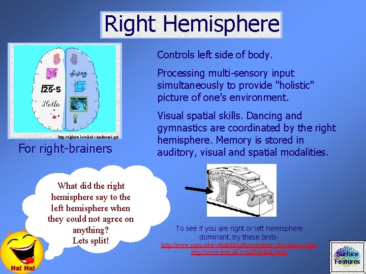Right Hemisphere Controls left side of body. Processing multi-sensory input simultaneously to provide "holistic"