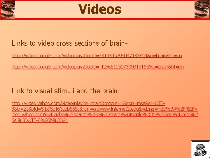 Videos Links to video cross sections of brainhttp: //video. google. com/videoplay? docid=4314345594047133804&q=brain&hl=en http: //video.