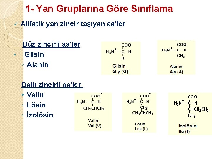 1 - Yan Gruplarına Göre Sınıflama ü Alifatik yan zincir taşıyan aa’ler Düz zincirli