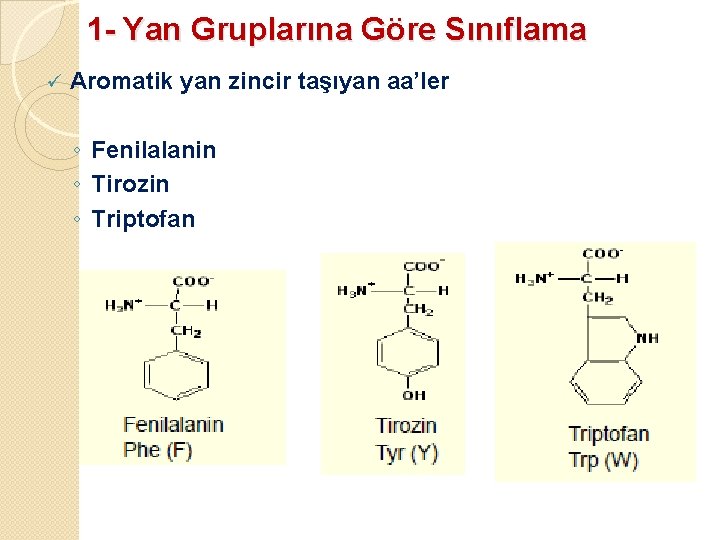 1 - Yan Gruplarına Göre Sınıflama ü Aromatik yan zincir taşıyan aa’ler ◦ Fenilalanin