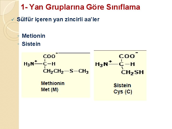 1 - Yan Gruplarına Göre Sınıflama ü Sülfür içeren yan zincirli aa’ler ◦ Metionin